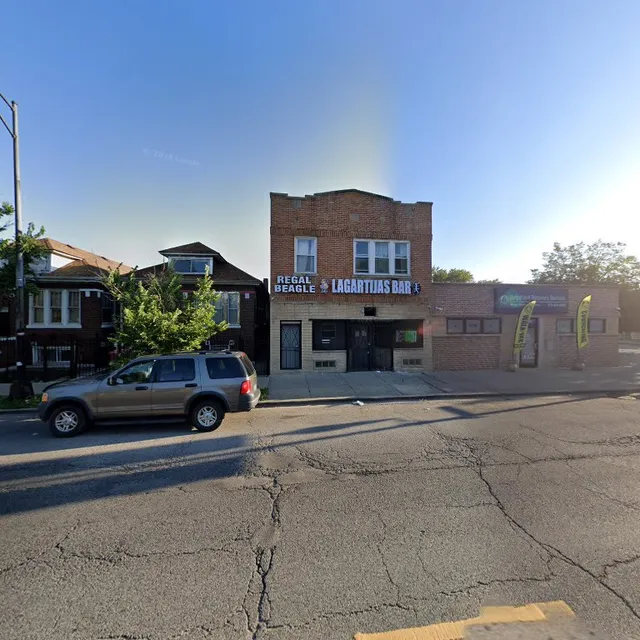 Regal Beagle “Lagartijas Bar”
