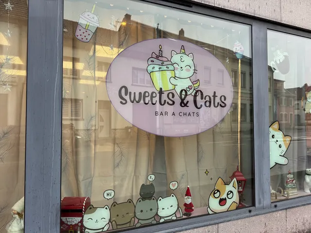 Sweets and Cats - Bar à chats