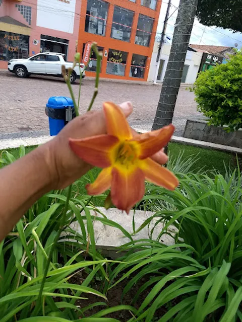 Panificadora e Lanchonete Pão de Mel