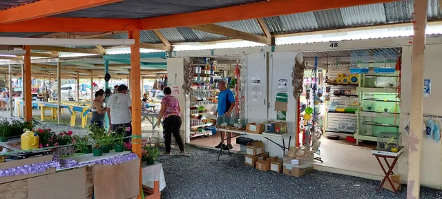 Gran Pulguero de Sabana Grande