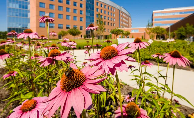 Princeton Center for Eating Disorders