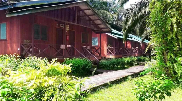 Sukau Backpackers Bed & Breakfast