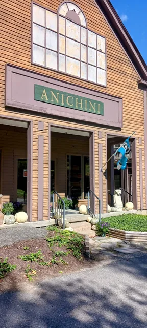 ANICHINI 802