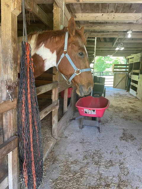 Green Woods Stables RV Park