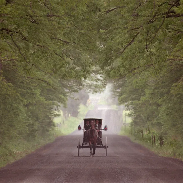 HSP Bedding Solutions