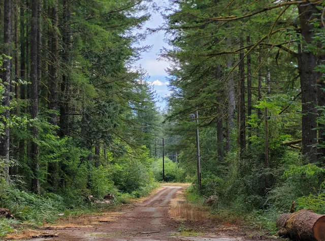 Palouse to Cascades State Park Trail - Cedar Falls Trailhead