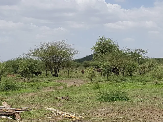 Aledeghi Wildlife Reserve