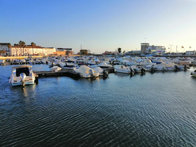 The Portuguese Element