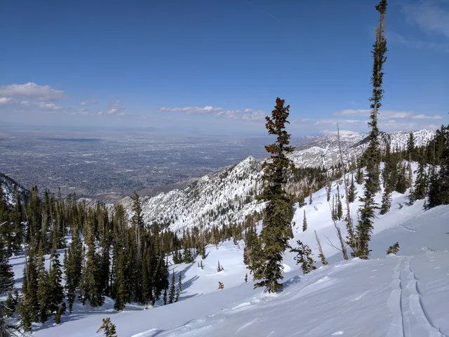 Upper Bell Canyon Reservoir