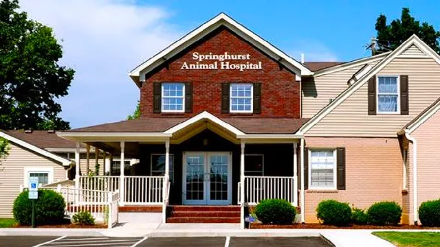 Springhurst Animal Hospital