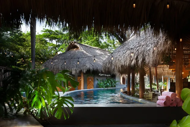 the SPACE. Jungle Oasis