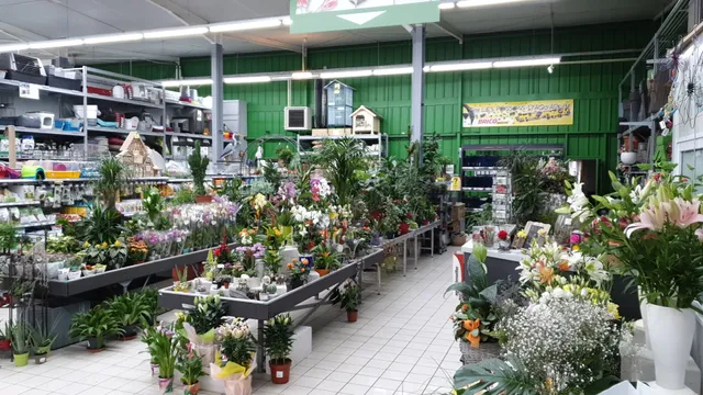 Bricomarché Noyers-Sur-Cher