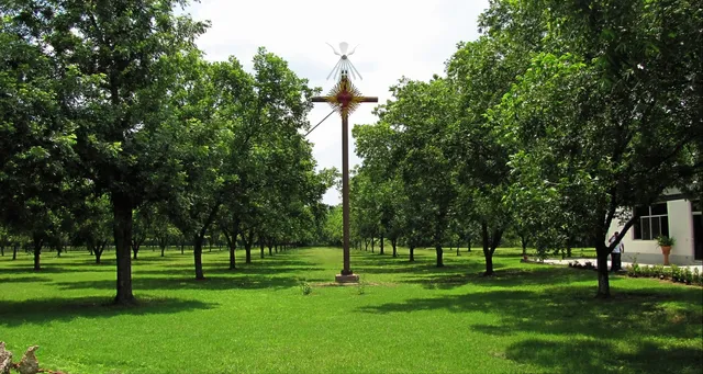 Oasis de los Nogales