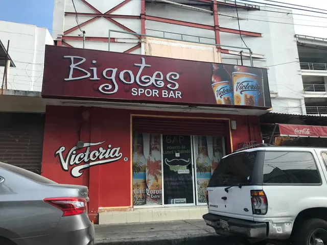 Sam Bigotes Karaoke - Sport Bar