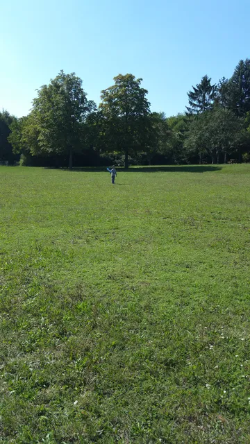 Forest Kids playground