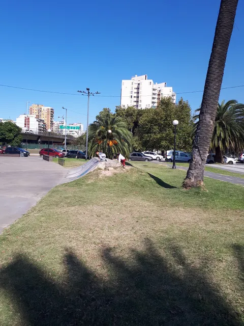 Plaza de patinetas