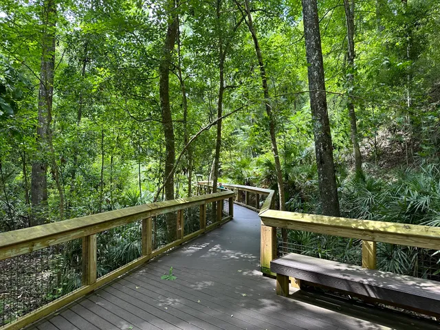 Mike Roess Gold Head Branch State Park