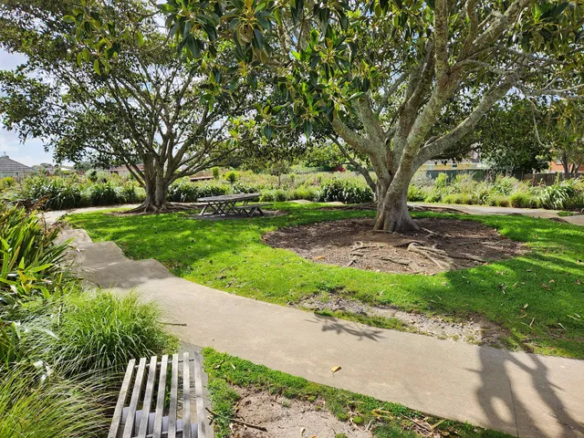 Kids Bike/Pump track