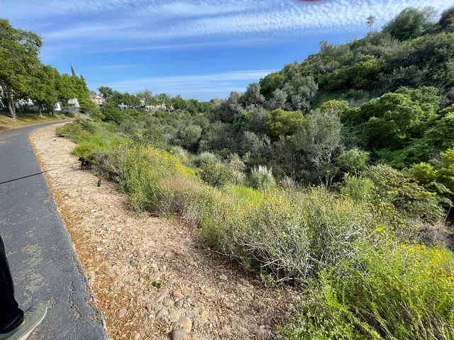 Stonecrest Village Trail