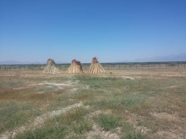 Sultan Pansion / Sultansazlığı Kuş Cenneti & Bird Paradise