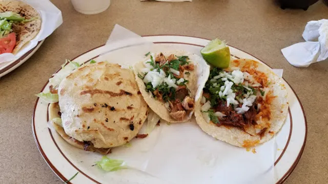 Tepatitlán Mexican Grill