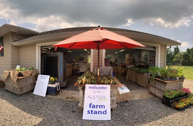 Alstede Fresh at Chester