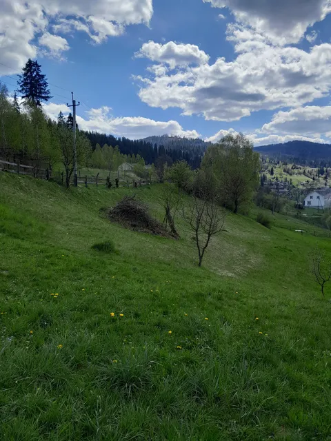 Karpat·sʹkyy Kutochok