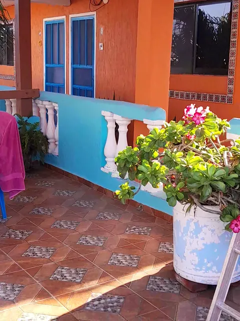 Maria's Hotel Nicte-Ha and Suites