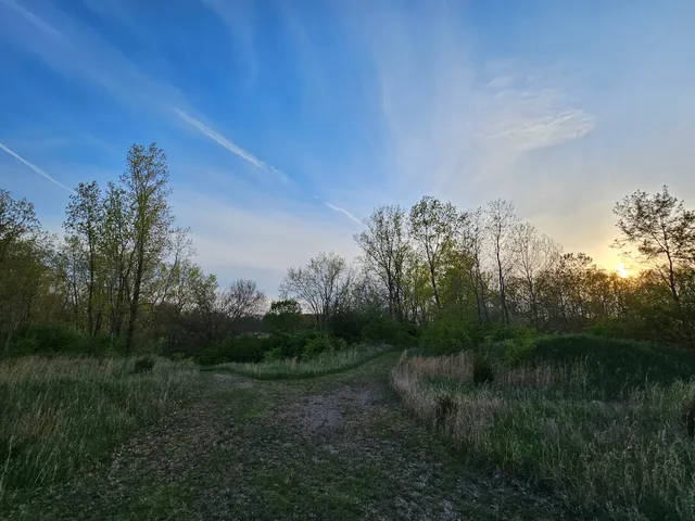 McCracken Fen State Nature Preserve