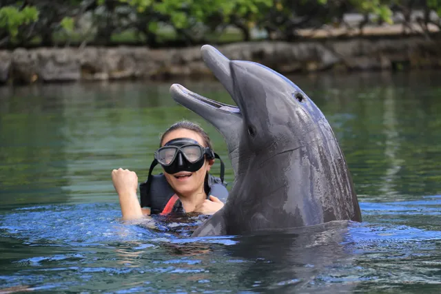Dolphin Quest Oahu