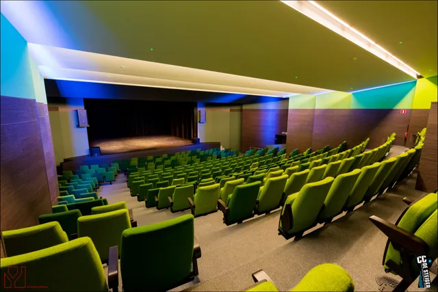 Cultuurcentrum De Steiger - Boom