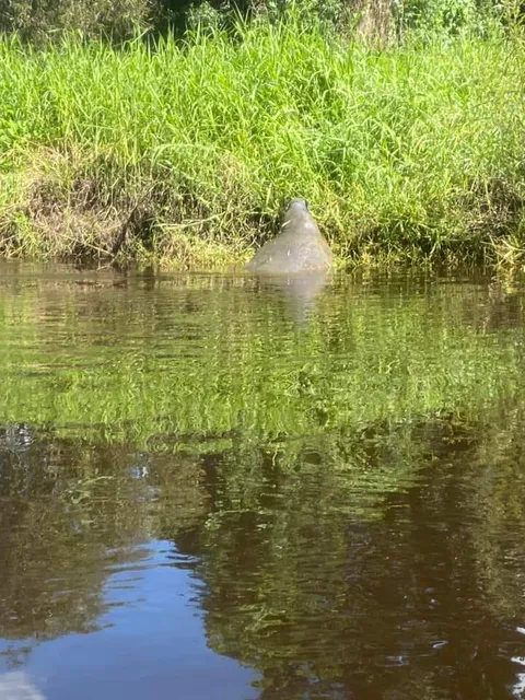 Canoe Outpost-Little Manatee River
