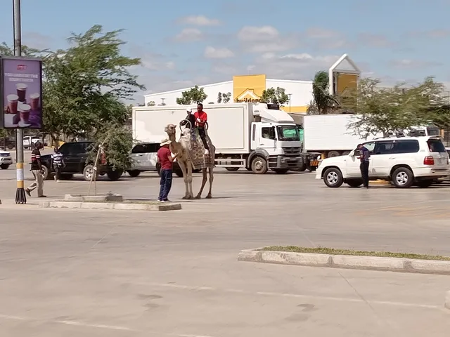 Hungry Lion Cosmopolitan Mall