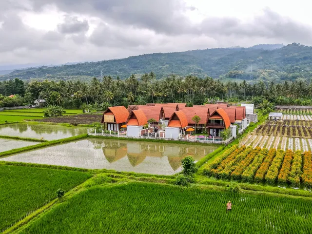 Bhumi Lovina Residences & Villas