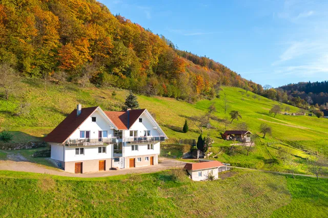 Ferienwohnung im Herzen des Renchtals