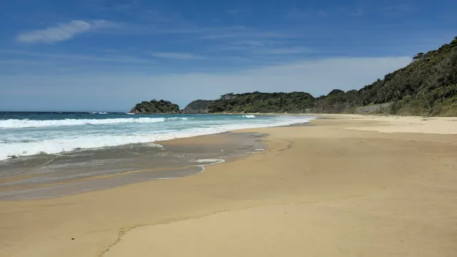 Santa Barbara picnic area