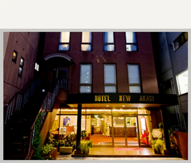 Hotel New Akagi