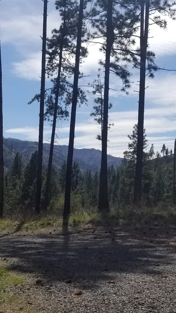 Wenaha -Tucannon Wilderness Dispersed Campground #6