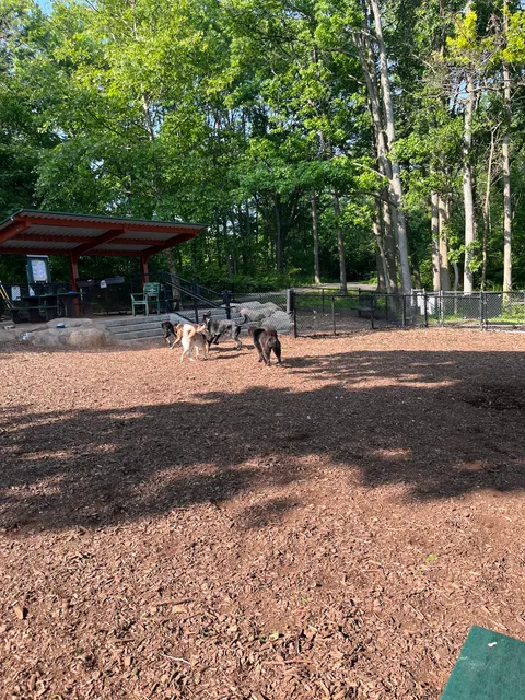 Wolfe Pond Dog Run