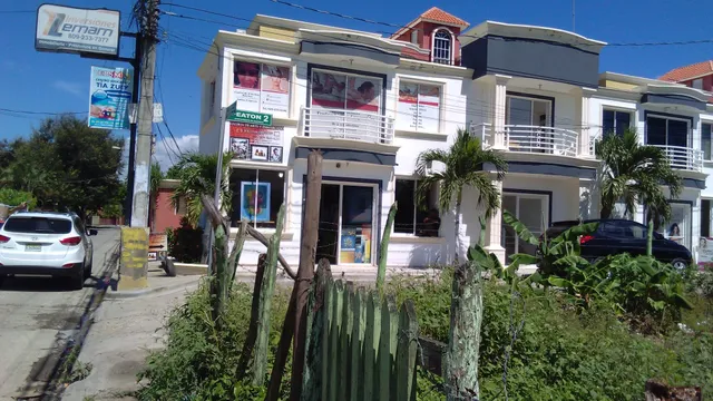 Galeria De Arte Y Enmarcado