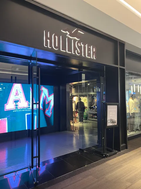 Hollister Co.