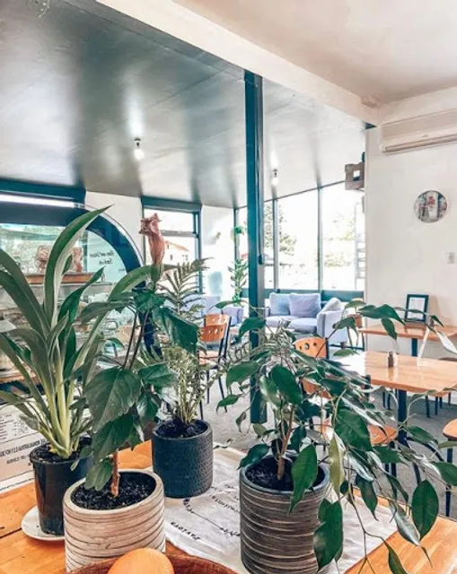 Taste of Kiwi - Springfield cafe