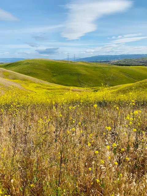 Dougherty Valley Ridge Trail