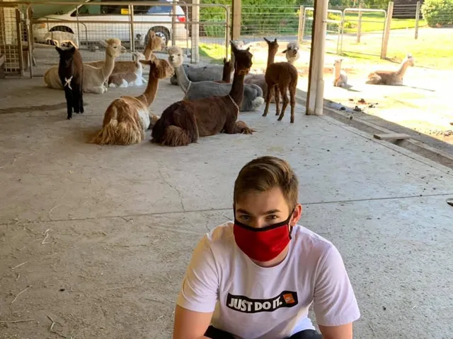 Alpacas of Tualatin Valley