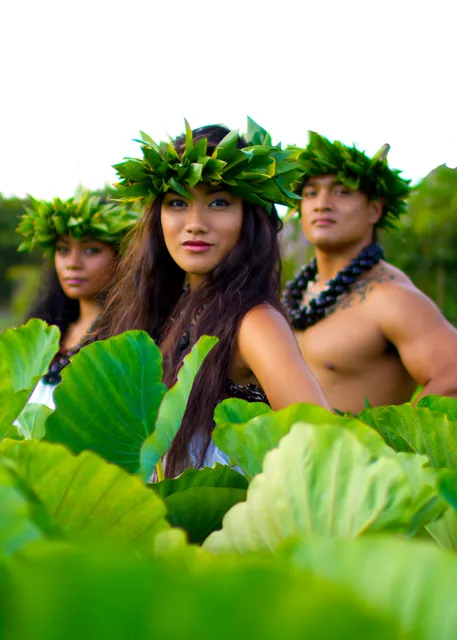 Island Breeze Lū‘au - He 'Ohana Kakou