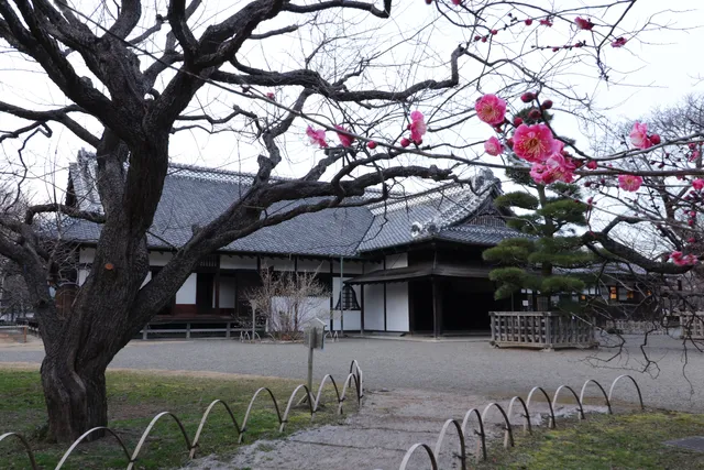 Kodokan