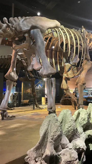 Perot Museum Parking Lot B