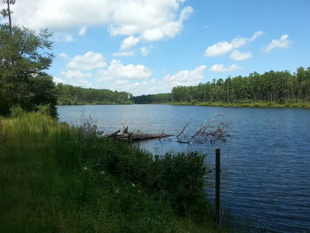 Geneva State Forest US-4596