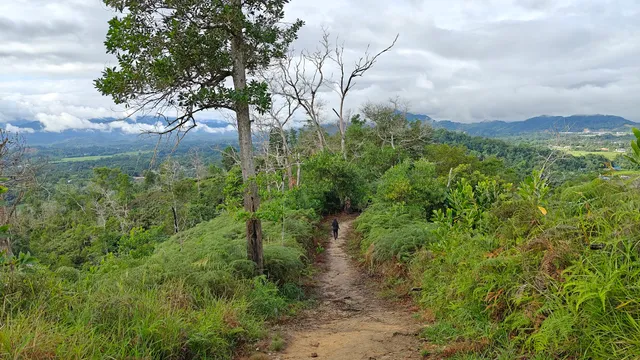 Pohumpung Natural Breeze Trail