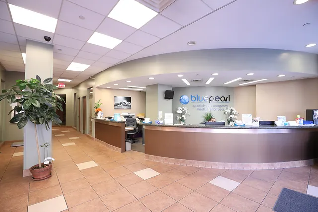 BluePearl Pet Hospital